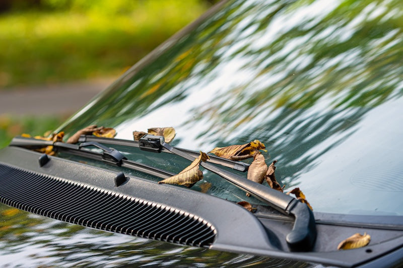 Are You Procrastinating Changing Your Wiperblades?