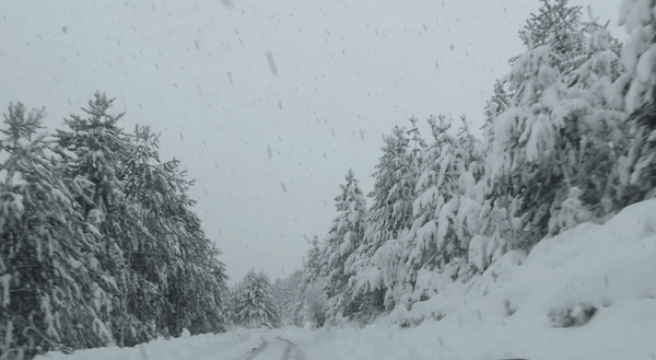 Wiper blades to fit any vehicle